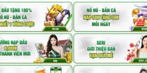 Mã Khuyến Mãi QQ88 – Ưu Đãi Độc Quyền Cho Thành Viên